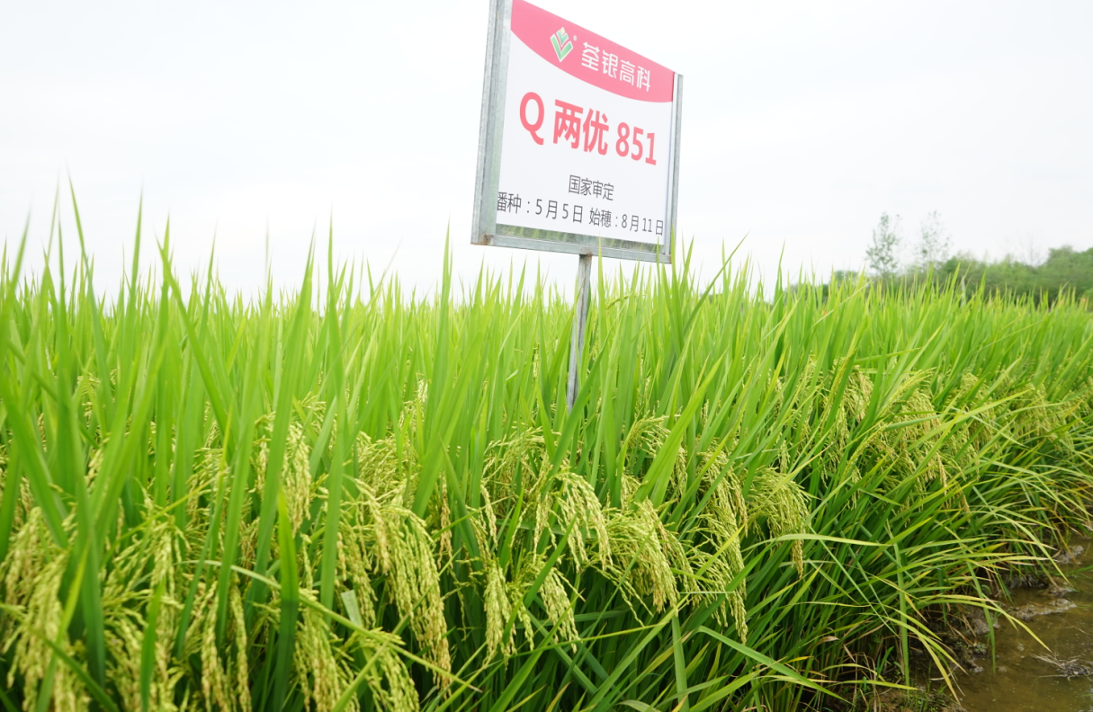 微信截图_20200217170809.png 微信截图_20200217170809.png