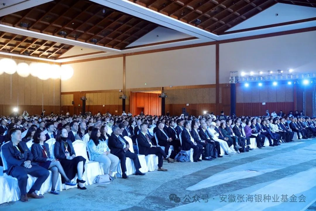 图片5.png 图片5.png