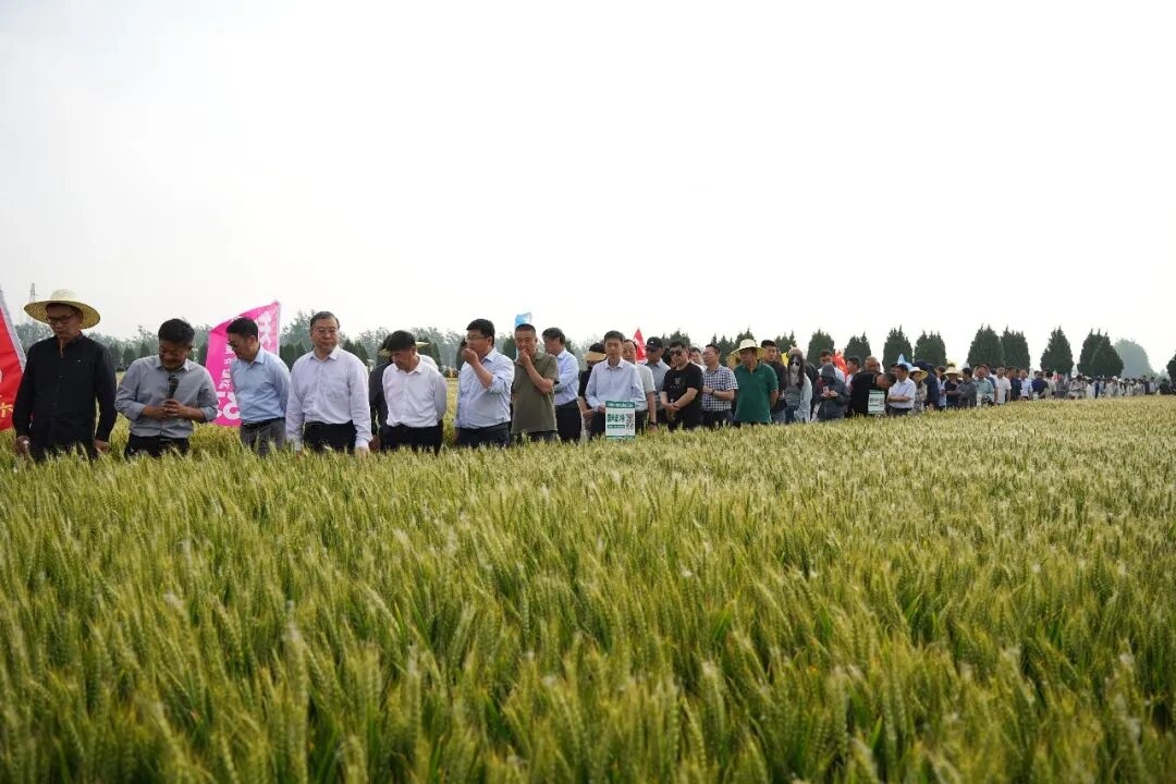 图片3.jpg 图片3.jpg
